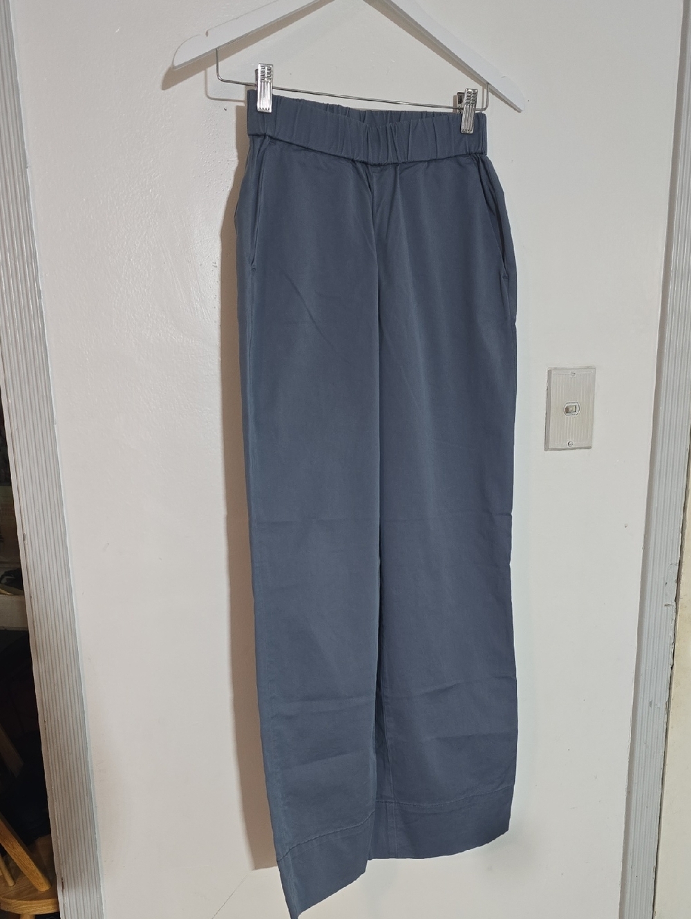 Everlane Dark Slate Wide-Leg Pants